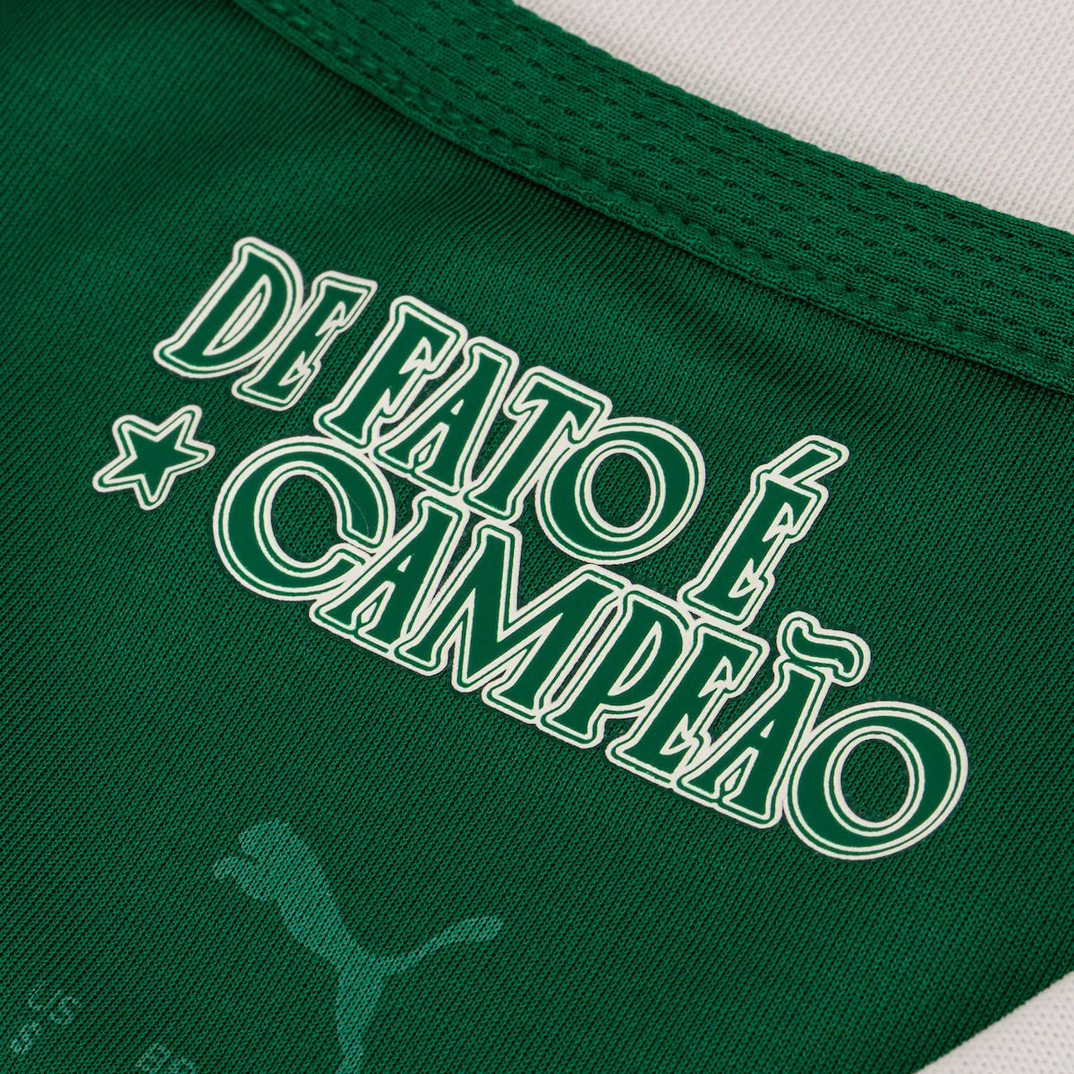 Camisa Palmeiras I 25/26 Torcedor Puma - Verde