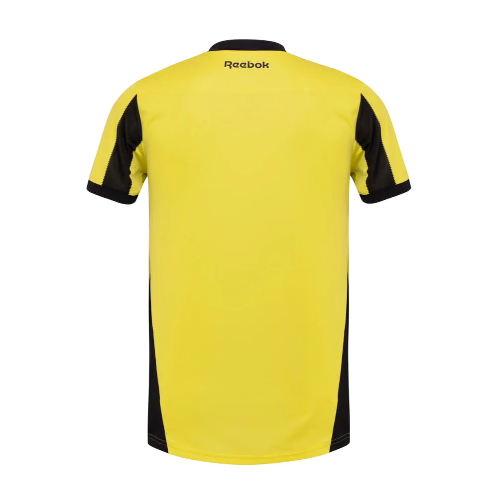 Camisa Botafogo Goleiro IV 24/25 - Amarela