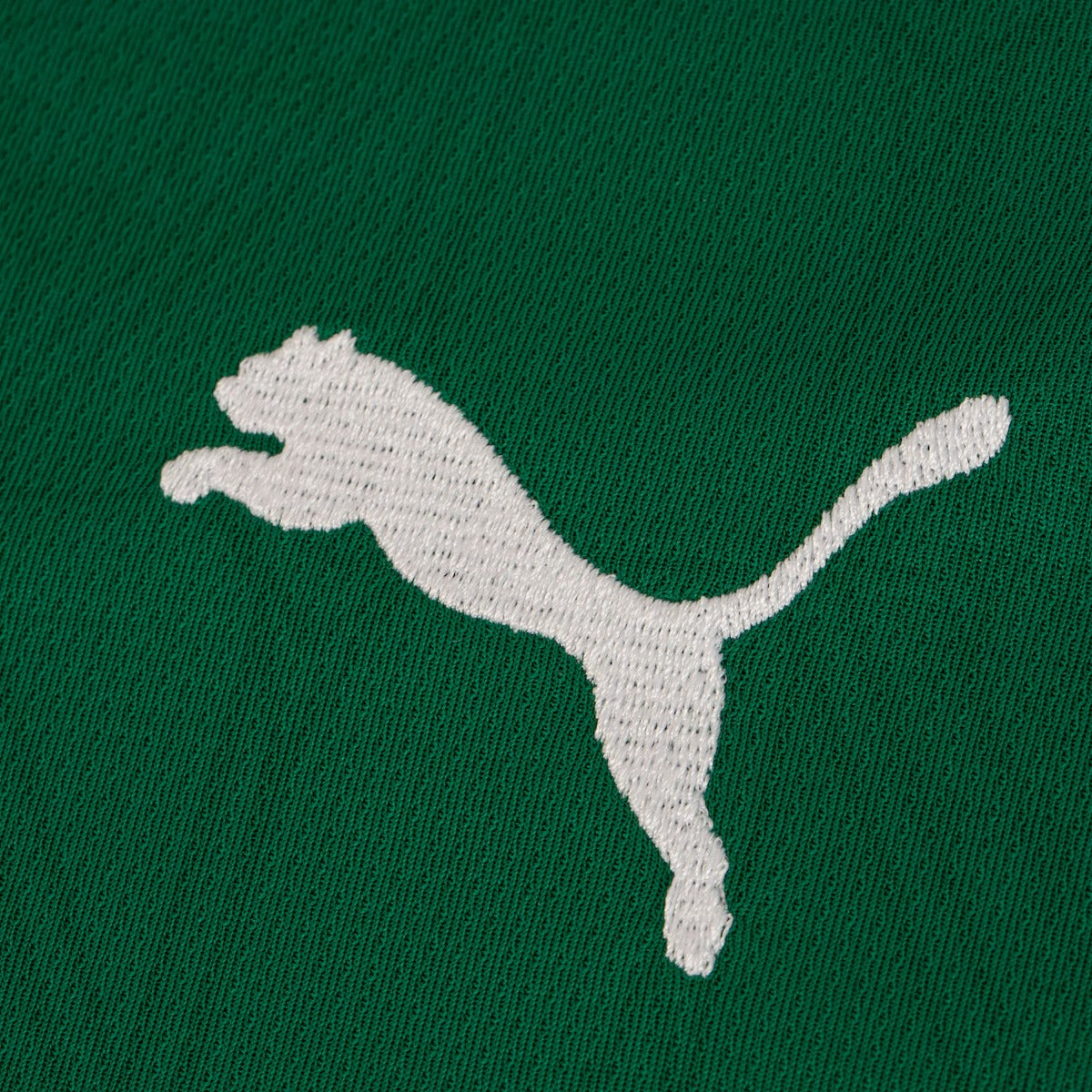 Camisa Palmeiras I 25/26 Torcedor Puma - Verde