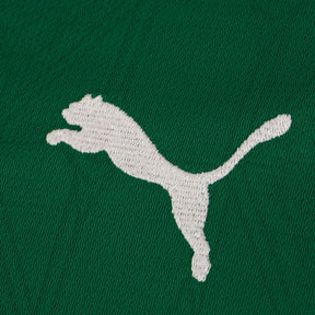 Camisa Palmeiras I 25/26 Torcedor Puma - Verde